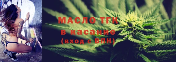 стаф Козловка
