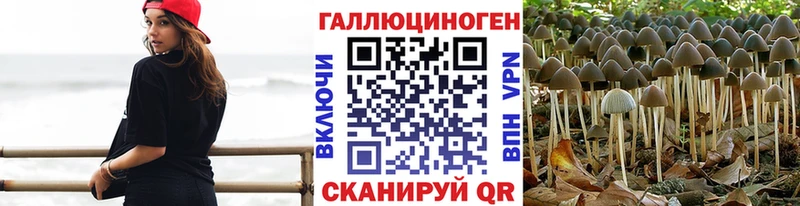 Псилоцибиновые грибы прущие грибы  Купить закладки  Ельня 